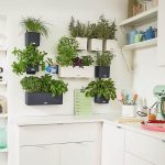 Green Wall Home Kit Color slate_4